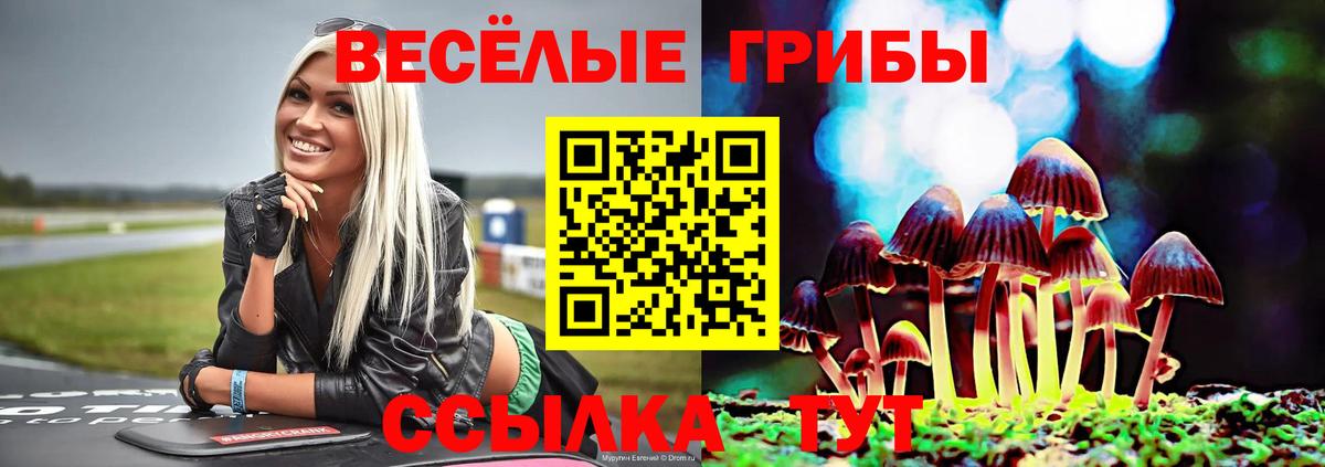 Псилоцибиновые грибы мухоморы Владикавказ
